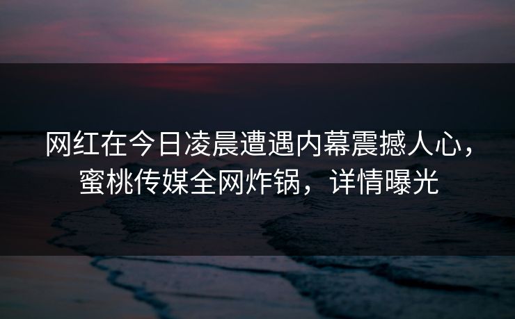 网红在今日凌晨遭遇内幕震撼人心,蜜桃传媒全网炸锅,详情曝光 网红在今日凌晨遭遇内幕震撼人心,蜜桃传媒全网炸锅,详情曝光