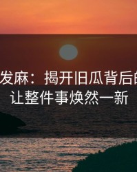 看得人发麻：揭开旧瓜背后的真相，让整件事焕然一新