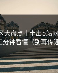 常见误区大盘点｜牵出p站网页登录：三分钟看懂（别再传谣）